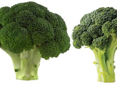 Broccoli upraised arms.