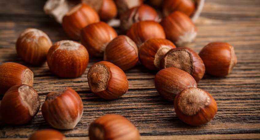 Hazelnuts are filberts.