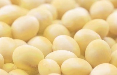 Garbanzo beans.