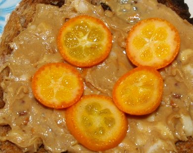 Whole wheat toast with peanut butter and sliced kumquats.