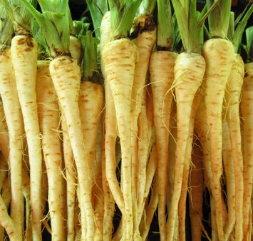 Can a Parsnip a Day Keep the Heart Doctor Away?, parships heart attacks, benefits of parsnips.