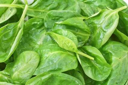 Fresh spinach.