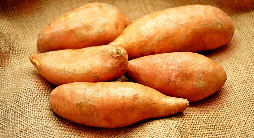 Sweet Potatoes for Beta-carotene & Pantothenic Acid, sweet potato health benefits, vitamin A sweet potatoes, betga-carotene sweet potatoes, Pantothenic Acid sweet potatoes, retinol sweet potatoes, sweet potato superfood super food, sweet potato nutrition, Sweet potatoes and Healthy Aging Healthy Living.