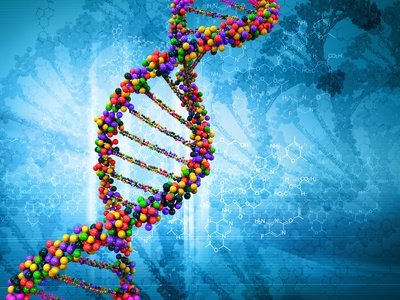 Telomeres and DNA replication.